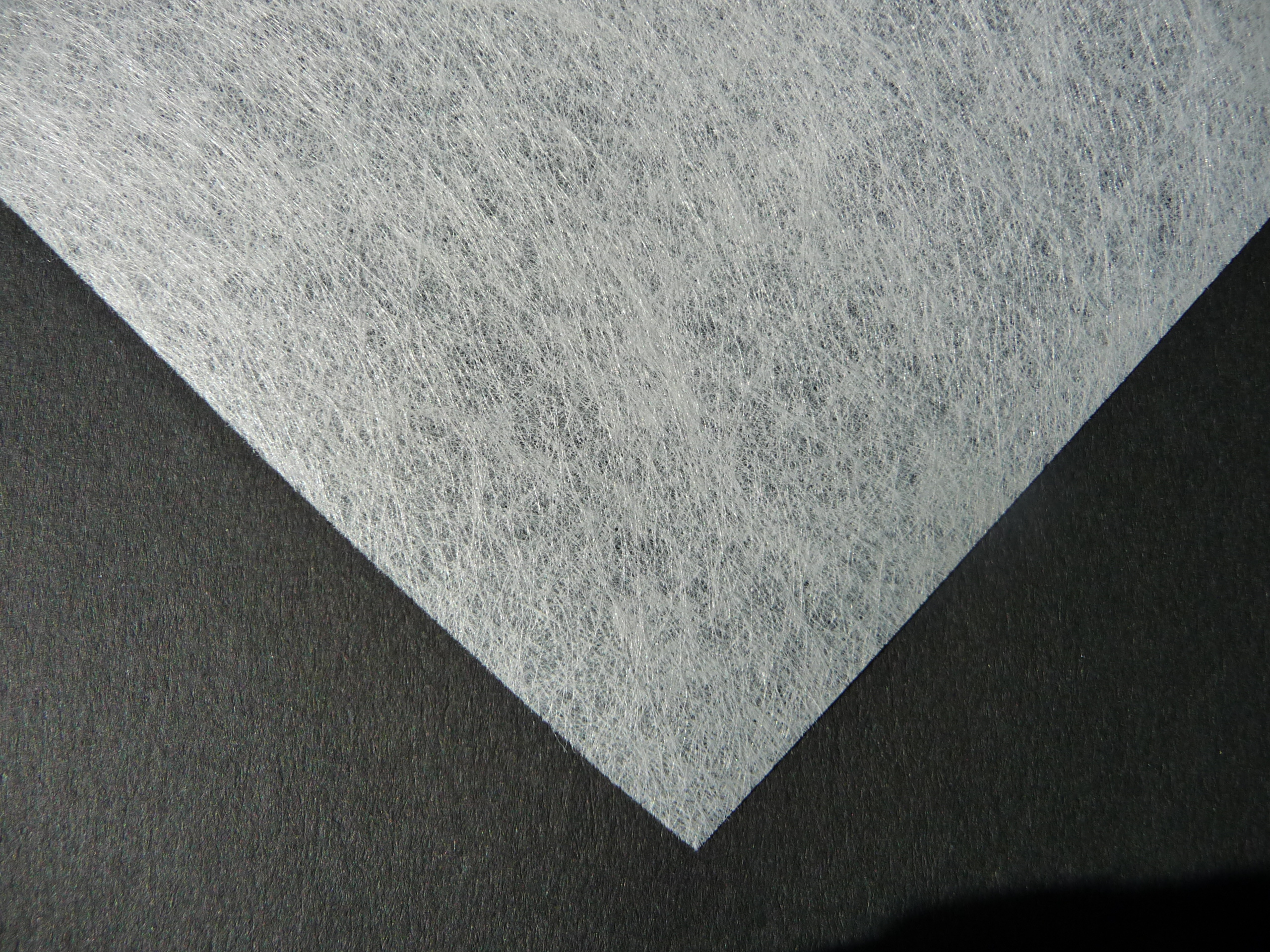 Non-woven Polyester 30g/m²