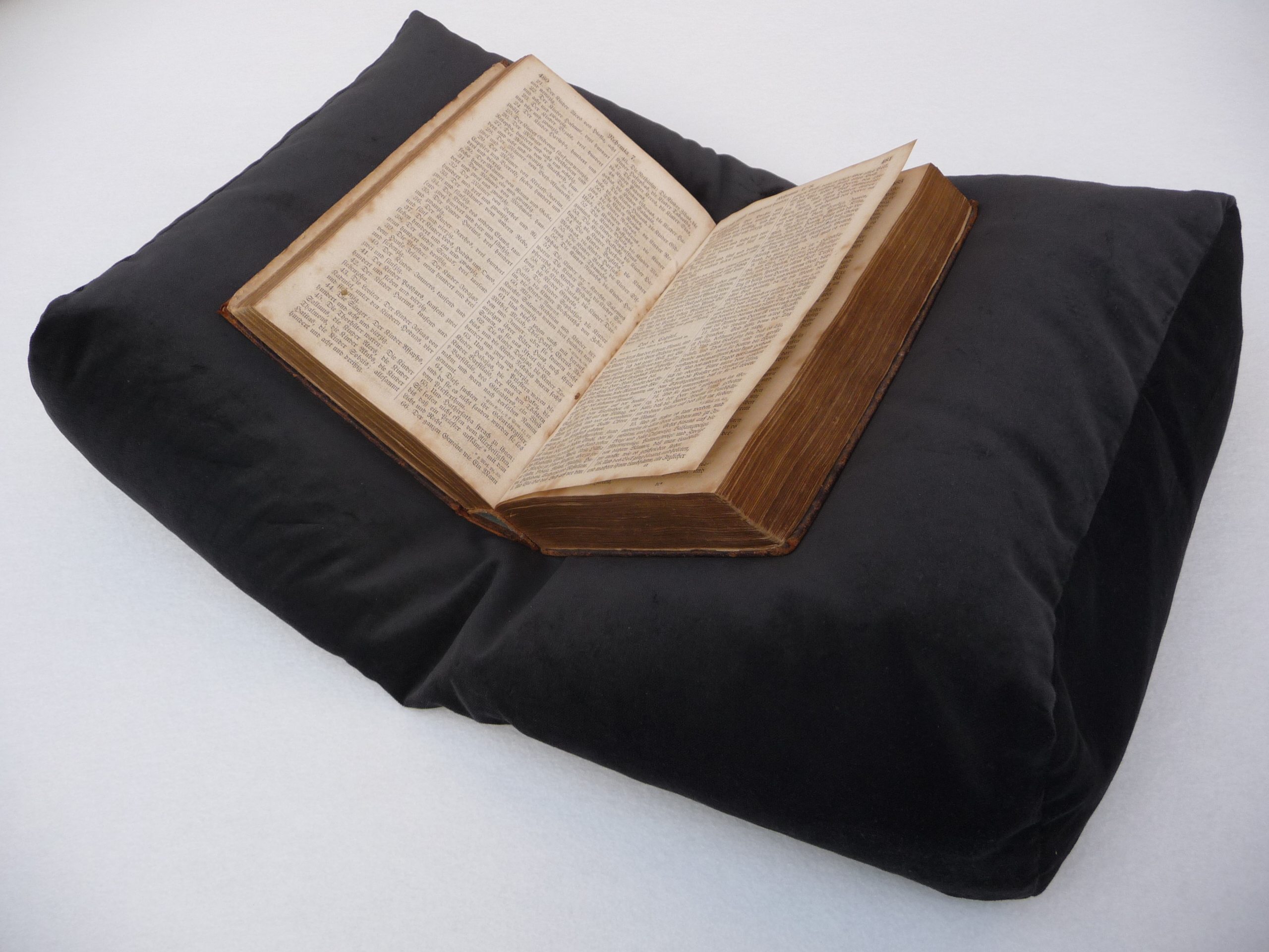 Book Cushion
